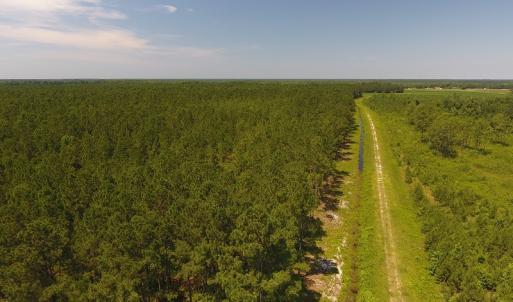 Photo #2 of Off Kingtown Road NW, Ash, NC 99.1 acres