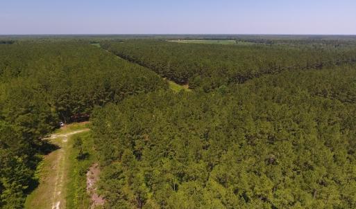 Photo #6 of Off Kingtown Road NW, Ash, NC 99.1 acres