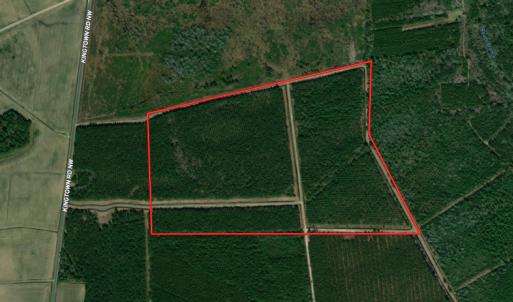 Photo #1 of Off Kingtown Road NW, Ash, NC 99.1 acres