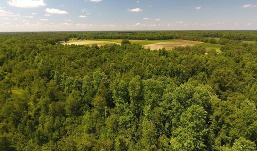 Photo #4 of SOLD property in Off Brayboy Road, Rowland, NC 15.0 acres