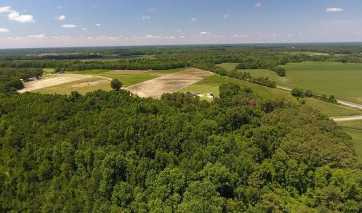 Photo #5 of SOLD property in Off Brayboy Road, Rowland, NC 15.0 acres