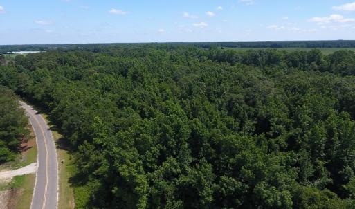 Photo #7 of SOLD property in Off Brayboy Road, Rowland, NC 15.0 acres