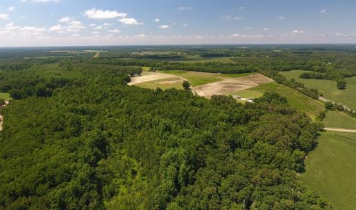 Photo #8 of SOLD property in Off Brayboy Road, Rowland, NC 15.0 acres