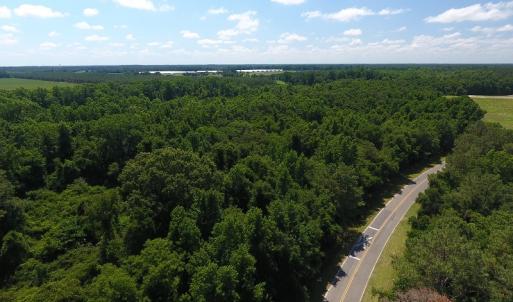 Photo #9 of SOLD property in Off Brayboy Road, Rowland, NC 15.0 acres
