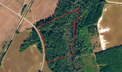 Photo #1 of SOLD property in Off Brayboy Road, Rowland, NC 15.0 acres