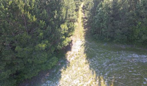 Photo #25 of Off Johnsontown Road, Elizabethtown, NC 129.5 acres