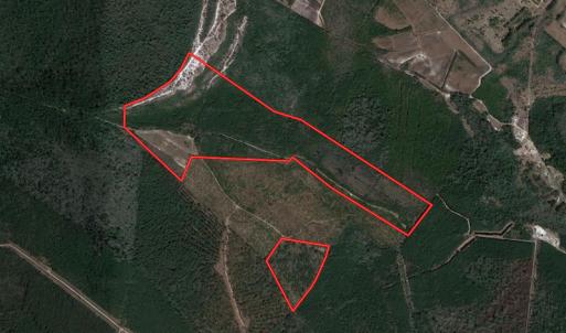 Photo #1 of Off Johnsontown Road, Elizabethtown, NC 129.5 acres