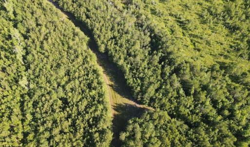 Photo #26 of Off Johnsontown Road, Elizabethtown, NC 129.5 acres