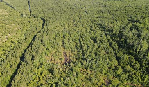 Photo #28 of Off Johnsontown Road, Elizabethtown, NC 129.5 acres