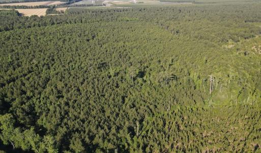 Photo #30 of Off Johnsontown Road, Elizabethtown, NC 129.5 acres