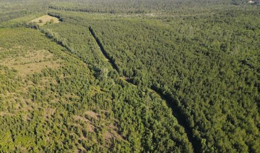 Photo #31 of Off Johnsontown Road, Elizabethtown, NC 129.5 acres