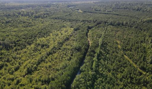 Photo #32 of Off Johnsontown Road, Elizabethtown, NC 129.5 acres