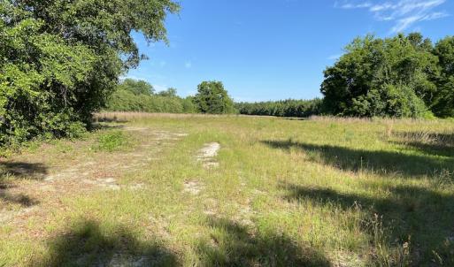 Photo #2 of Off Johnsontown Road, Elizabethtown, NC 129.5 acres