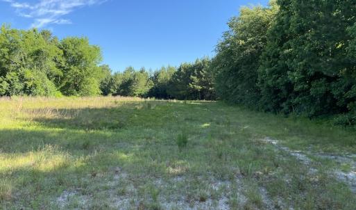 Photo #3 of Off Johnsontown Road, Elizabethtown, NC 129.5 acres