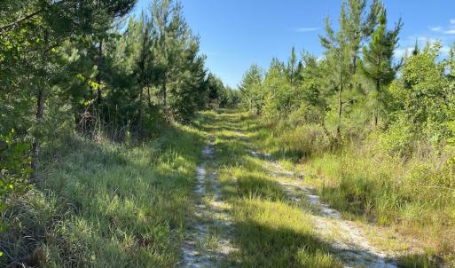 Photo #4 of Off Johnsontown Road, Elizabethtown, NC 129.5 acres