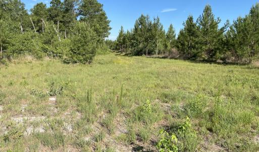 Photo #6 of Off Johnsontown Road, Elizabethtown, NC 129.5 acres