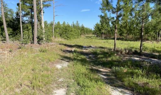 Photo #7 of Off Johnsontown Road, Elizabethtown, NC 129.5 acres