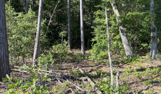 Photo #8 of Off Johnsontown Road, Elizabethtown, NC 129.5 acres