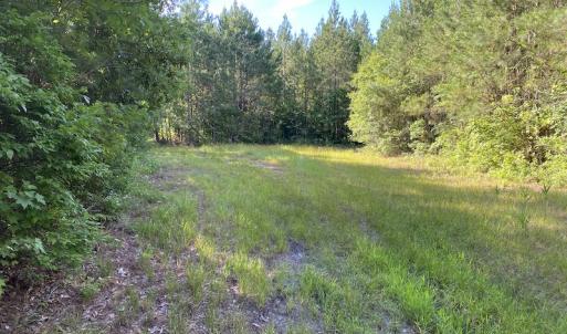 Photo #10 of Off Johnsontown Road, Elizabethtown, NC 129.5 acres