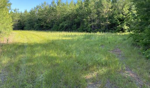 Photo #11 of Off Johnsontown Road, Elizabethtown, NC 129.5 acres