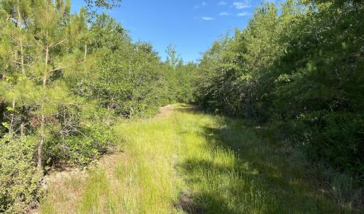 Photo #12 of Off Johnsontown Road, Elizabethtown, NC 129.5 acres