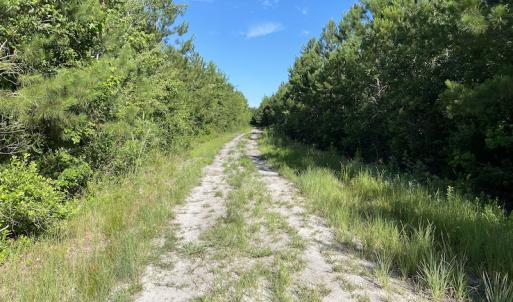 Photo #13 of Off Johnsontown Road, Elizabethtown, NC 129.5 acres
