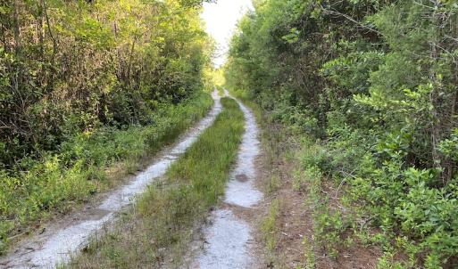 Photo #14 of Off Johnsontown Road, Elizabethtown, NC 129.5 acres
