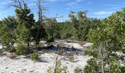 Photo #15 of Off Johnsontown Road, Elizabethtown, NC 129.5 acres