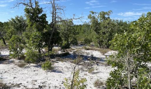 Photo #16 of Off Johnsontown Road, Elizabethtown, NC 129.5 acres