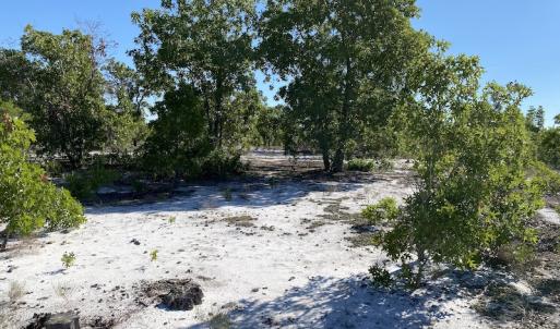 Photo #17 of Off Johnsontown Road, Elizabethtown, NC 129.5 acres