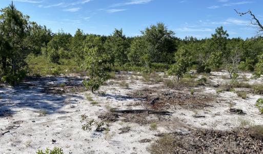 Photo #18 of Off Johnsontown Road, Elizabethtown, NC 129.5 acres