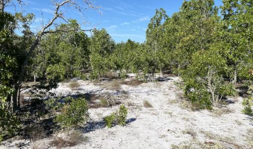 Photo #19 of Off Johnsontown Road, Elizabethtown, NC 129.5 acres