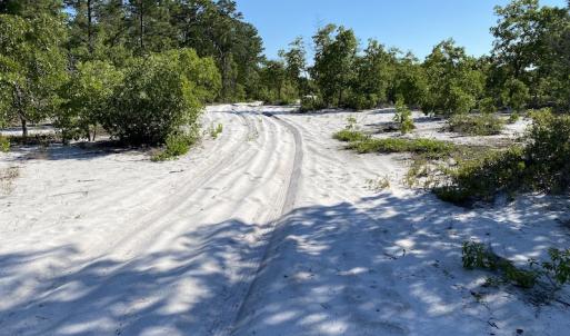 Photo #20 of Off Johnsontown Road, Elizabethtown, NC 129.5 acres