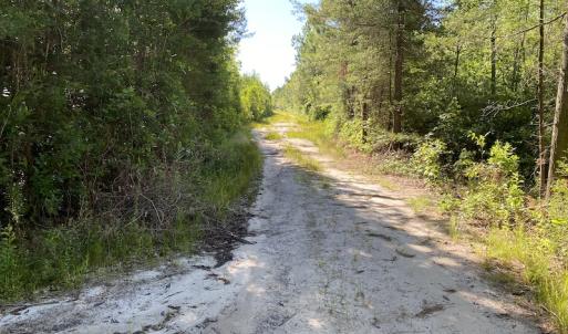 Photo #22 of Off Johnsontown Road, Elizabethtown, NC 129.5 acres