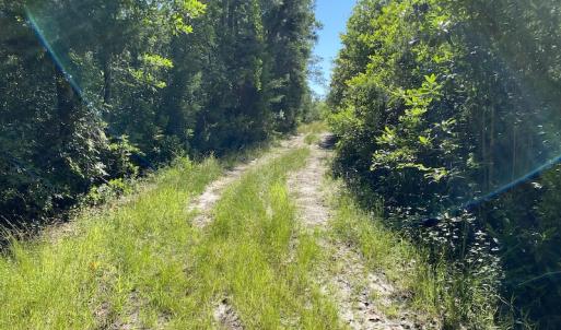 Photo #23 of Off Johnsontown Road, Elizabethtown, NC 129.5 acres