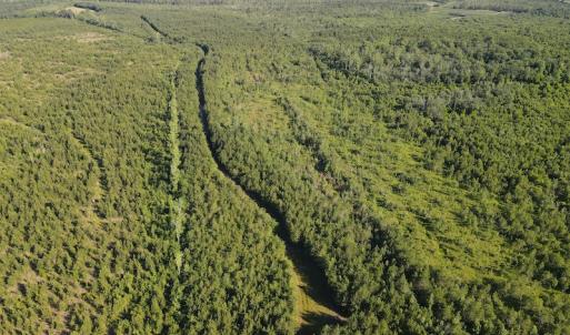 Photo #34 of Off Johnsontown Road, Elizabethtown, NC 129.5 acres