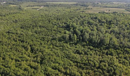 Photo #36 of Off Johnsontown Road, Elizabethtown, NC 129.5 acres