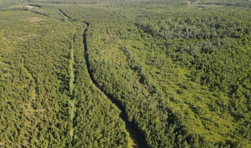 Photo #38 of Off Johnsontown Road, Elizabethtown, NC 129.5 acres