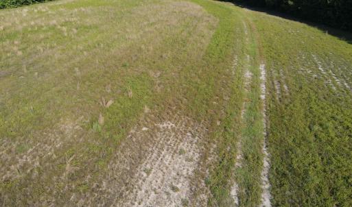 Photo #39 of Off Johnsontown Road, Elizabethtown, NC 129.5 acres