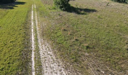 Photo #40 of Off Johnsontown Road, Elizabethtown, NC 129.5 acres