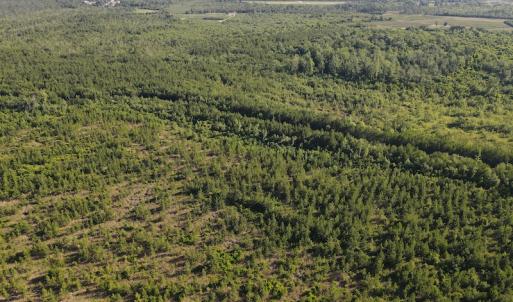 Photo #41 of Off Johnsontown Road, Elizabethtown, NC 129.5 acres