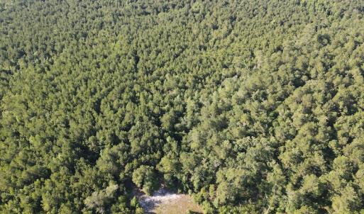 Photo #42 of Off Johnsontown Road, Elizabethtown, NC 129.5 acres