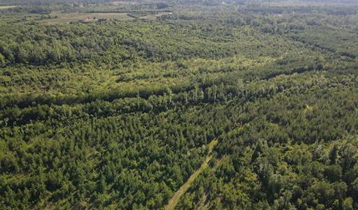 Photo #43 of Off Johnsontown Road, Elizabethtown, NC 129.5 acres