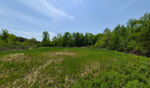 Photo #2 of 1035 Mill Road, Clover, VA 217.9 acres