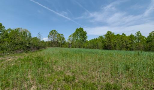 Photo #3 of 1035 Mill Road, Clover, VA 217.9 acres