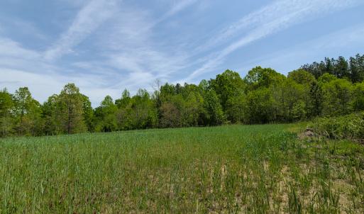 Photo #4 of 1035 Mill Road, Clover, VA 217.9 acres