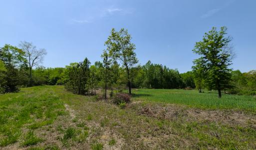 Photo #5 of 1035 Mill Road, Clover, VA 217.9 acres