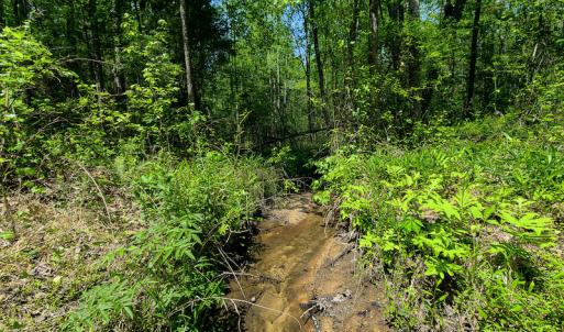 Photo #7 of 1035 Mill Road, Clover, VA 217.9 acres