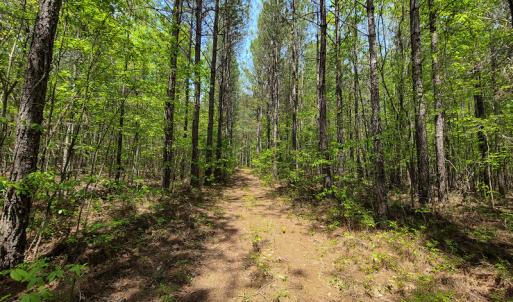 Photo #15 of 1035 Mill Road, Clover, VA 217.9 acres
