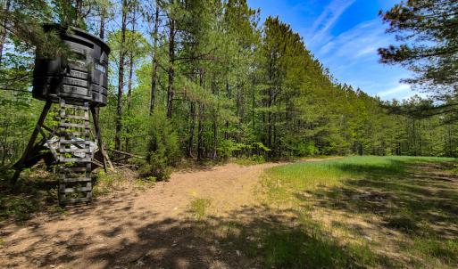 Photo #16 of 1035 Mill Road, Clover, VA 217.9 acres